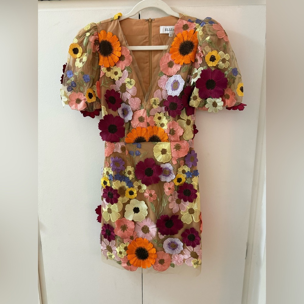 Elliatt Floral Embroidered Mesh Mini Dress in Multi-Color